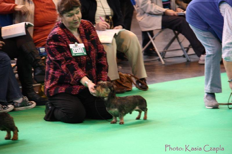 Crufts2011_2 575.jpg